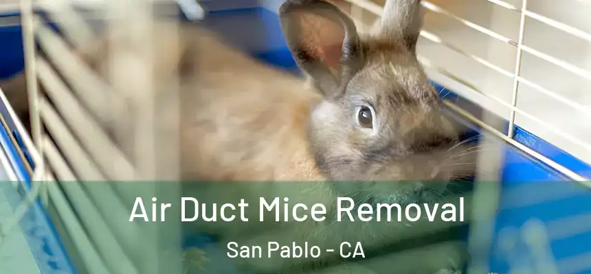 Air Duct Mice Removal San Pablo - CA