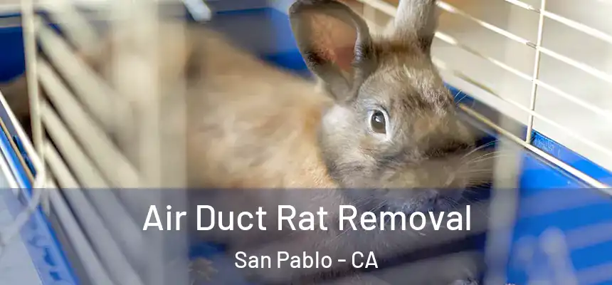  Air Duct Rat Removal San Pablo - CA