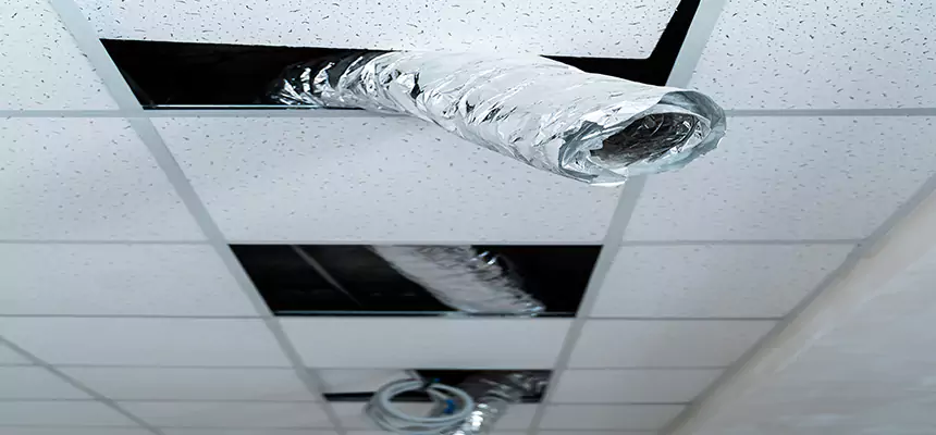 Affordable HVAC Sanitizing After Pest Removal in San Pablo