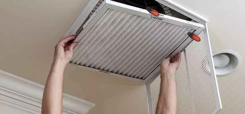 Our Insect Removal from Air Ducts Services in San Pablo, CA