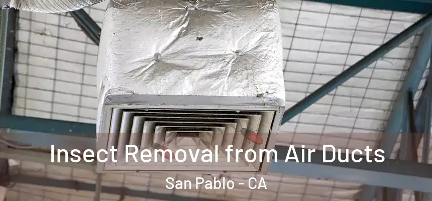 Insect Removal from Air Ducts San Pablo - CA