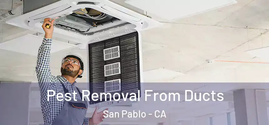 Pest Removal From Ducts San Pablo - CA