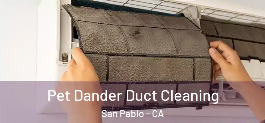 Pet Dander Duct Cleaning San Pablo - CA