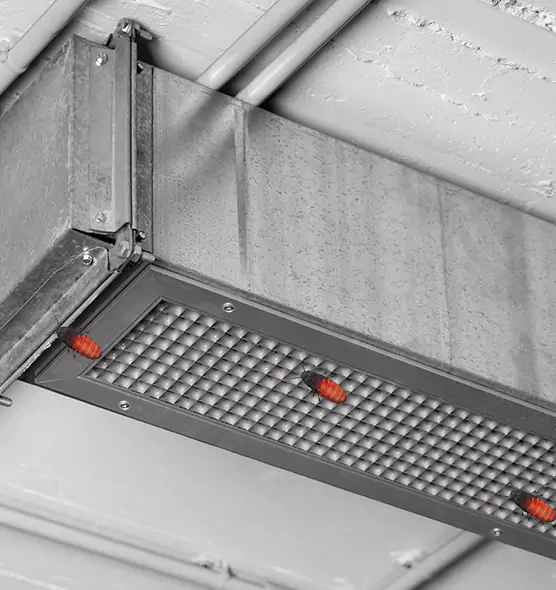 About Air Duct Cockroach Removal in San Pablo, CA
