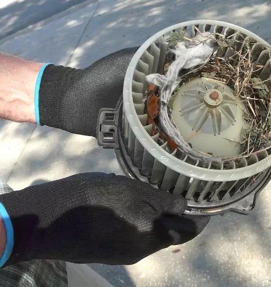 About Air Duct Mice Removal in San Pablo, CA