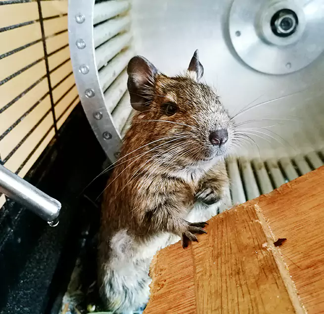 Why Homeowners & Businesses Trust Us San Pablo, CA?